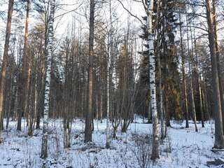 Фото Гостевой дом Majoitus Linnunlahti г. Йоэнсуу